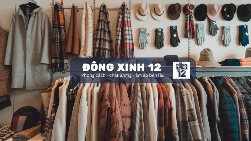 dongxinh12.com